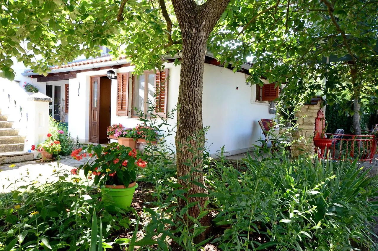 Apartment Amedea Kanfanar