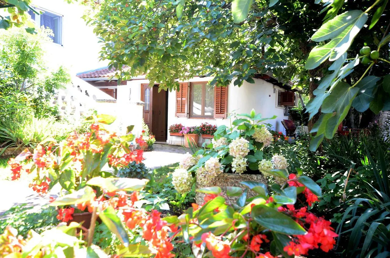Apartment Amedea Kanfanar Chorwacja